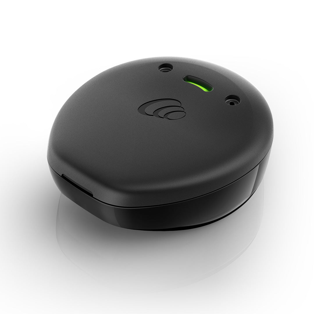 Nucleus Kanso 2 (CP1150) процесор на звук